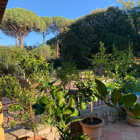 Sous Les Pins Parasols 维多邦 外观 照片