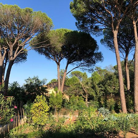 Sous Les Pins Parasols 维多邦 外观 照片