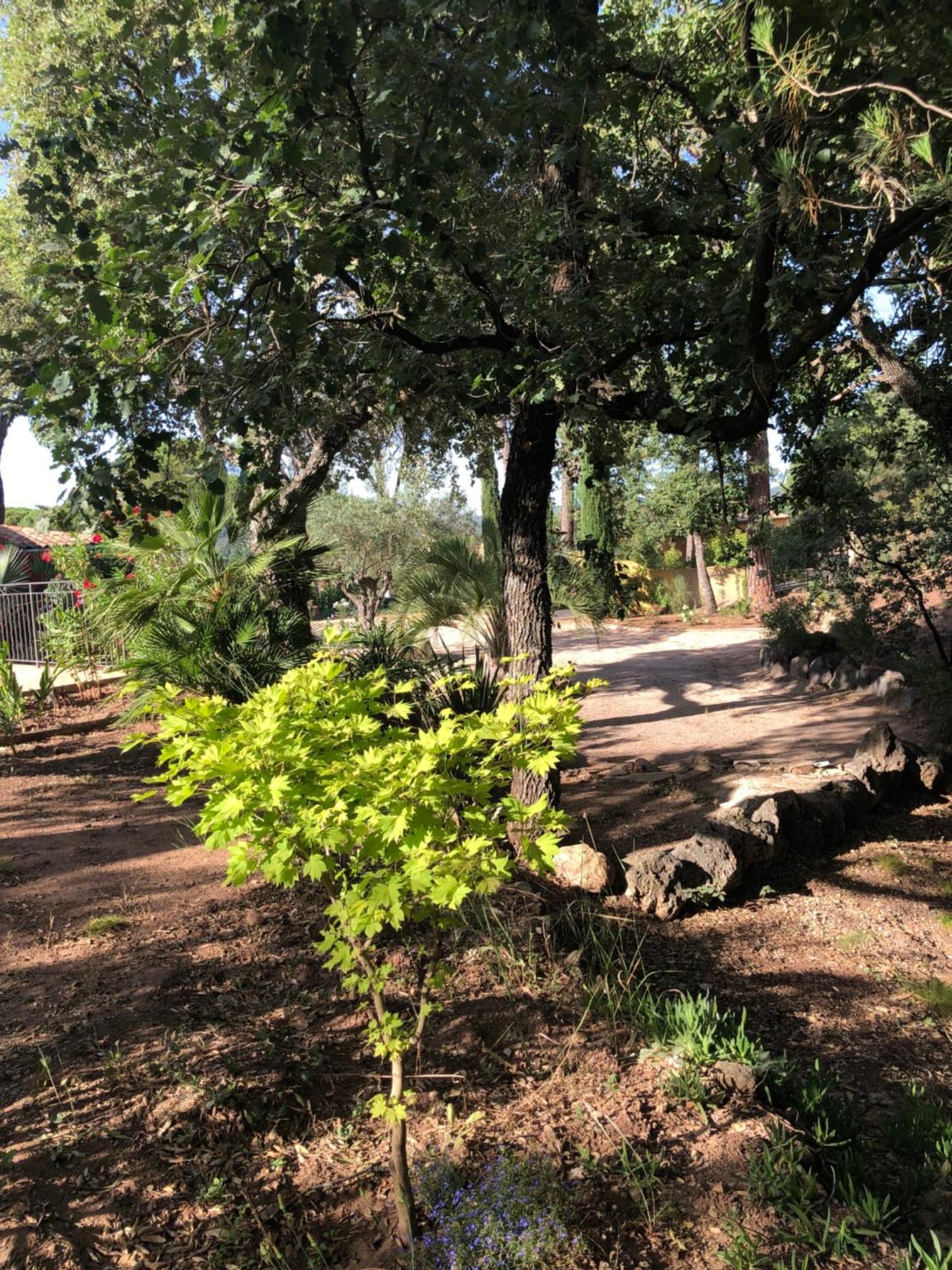 Sous Les Pins Parasols 维多邦 外观 照片