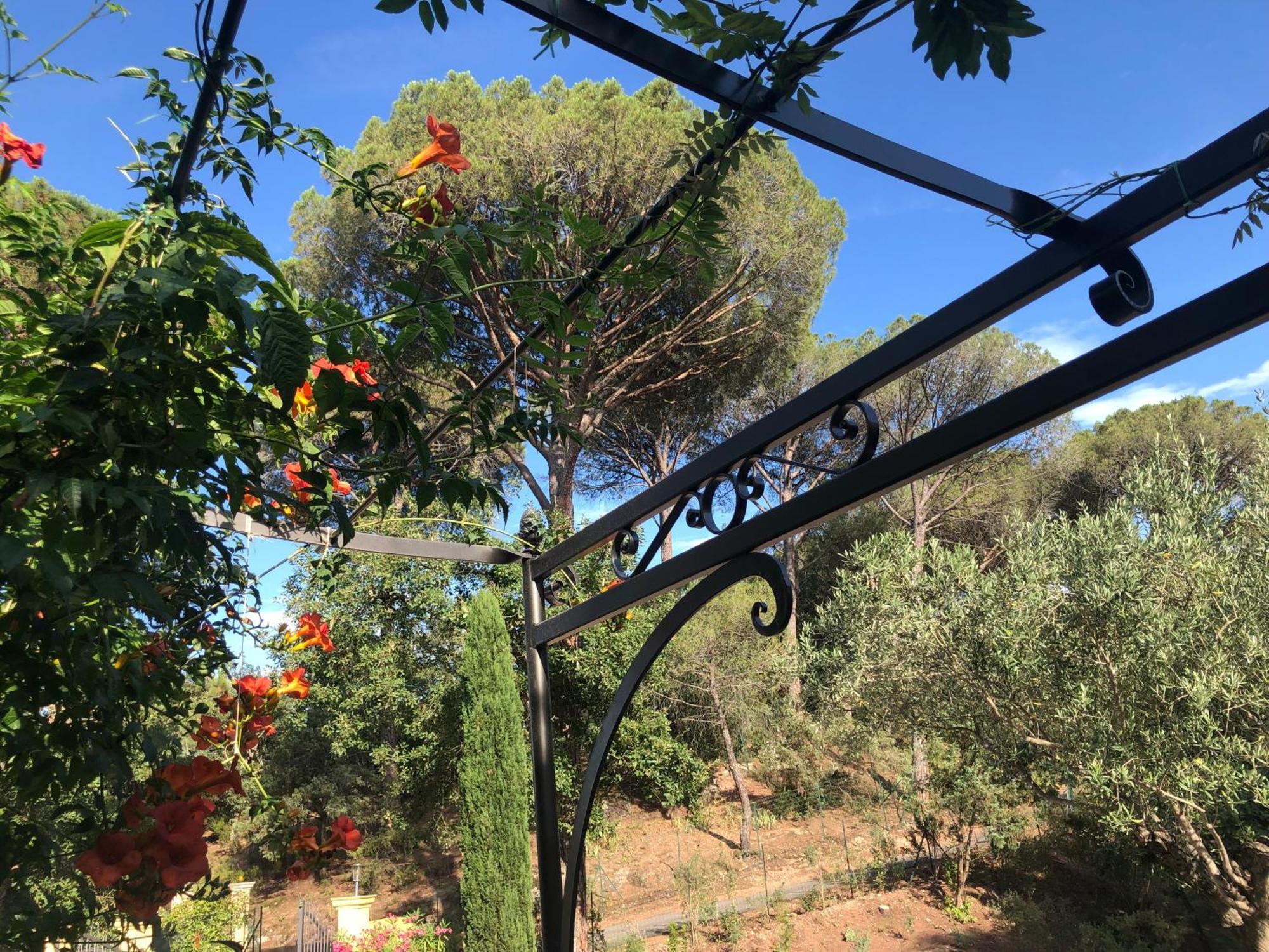 Sous Les Pins Parasols 维多邦 外观 照片