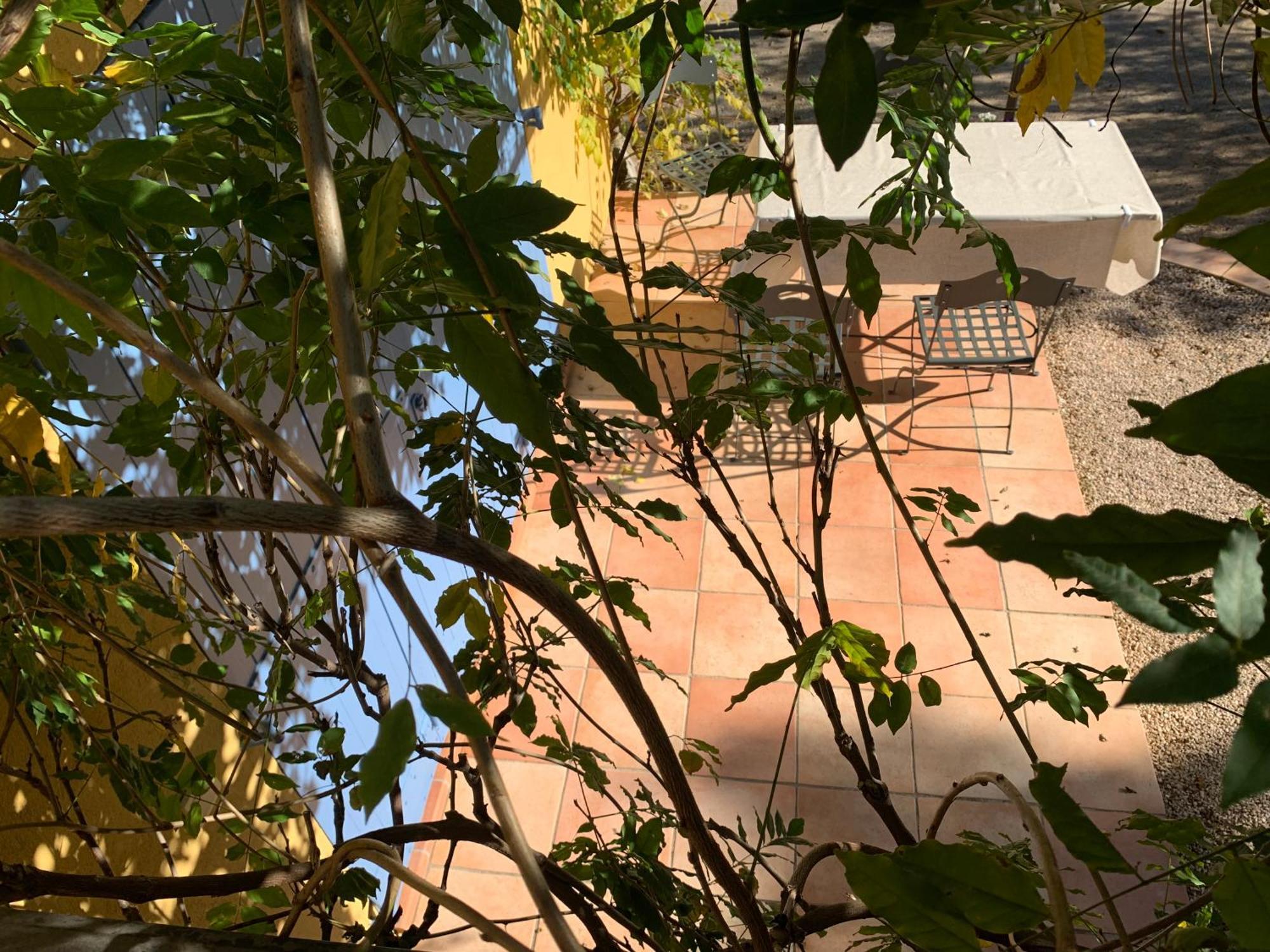 Sous Les Pins Parasols 维多邦 外观 照片